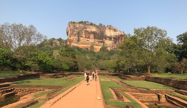 Sri Lanka land of tea, spices and elephants